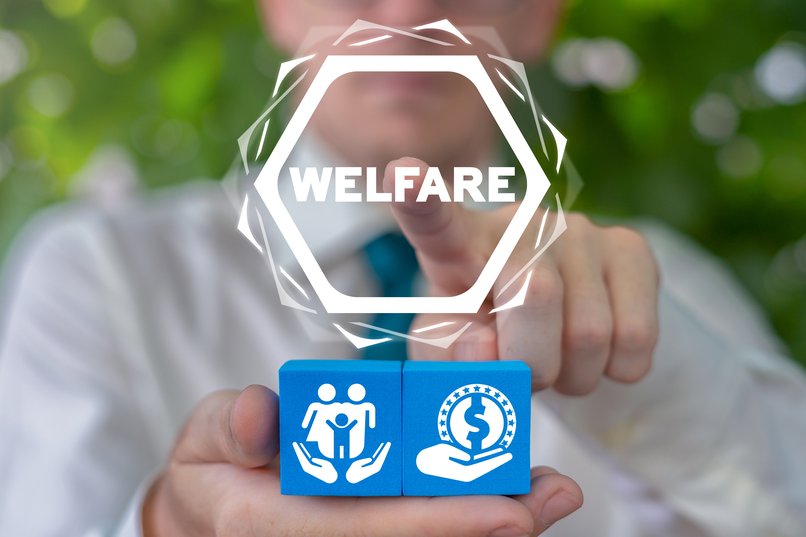 welfare digitale